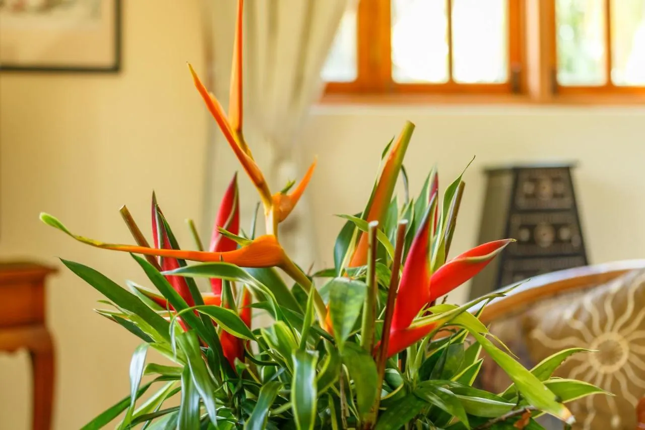 Maison Soleil Baie Lazare  Holiday home Baie Lazare (Mahe)